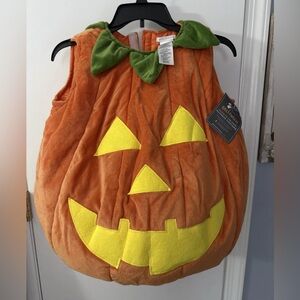 Pottery Barn Kids Glow-in-the-Dark Pumpkin Halloween Costume